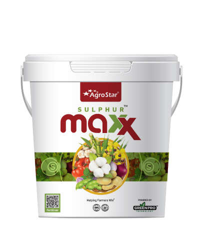 Sulphur Maxx (Sulphur 90% Fertilizer) 3 kg Bucket