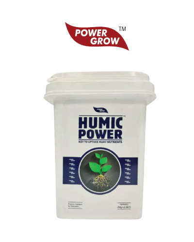 Humic Power 8X250 g (Humic & Fulvic Acid 50% min.) 2 kg Bucket