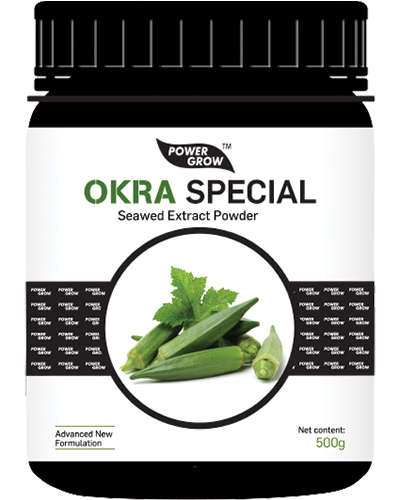 Okra Special (Biostimulant) 500 g