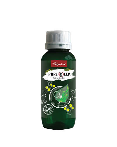 Pure Kelp (Seaweed Extract) 500 ml