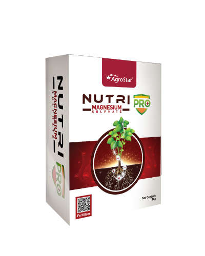 Nutri Pro Magnesium Sulphate 1 kg