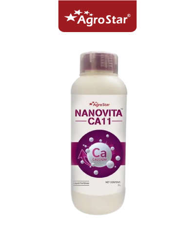 नैनोवीटा सीए 11 (1 लीटर)