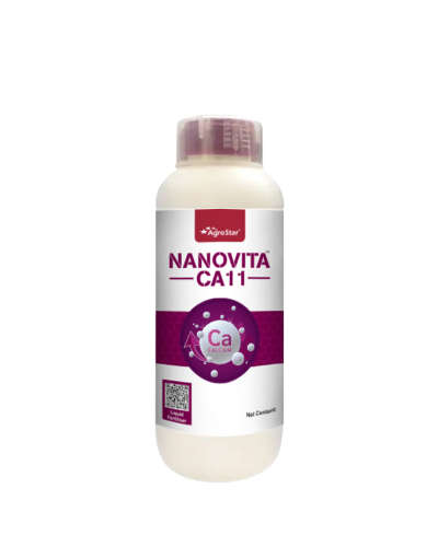 NanoVita CA 11 (1 litre)