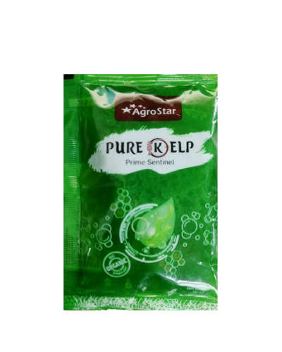 Pure Kelp (Seaweed Extract) 50 ml Pouch