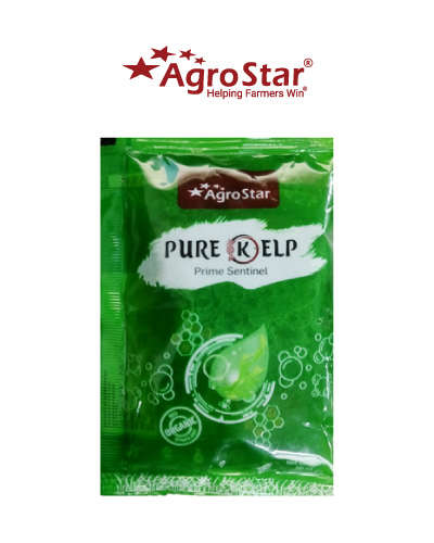 Pure Kelp (Seaweed Extract) 50 ml Pouch