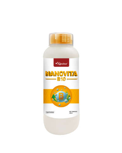 Nanovita B10 (Boron Ethanolamine 10%) 250ml