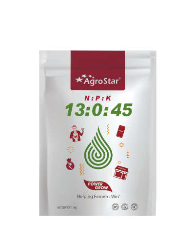 NPK 13:0:45 (Potassium Nitrate) 1 kg