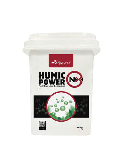 Humic Power NX (Humic & Fulvic Derivative) 2kg Bucket