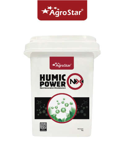 ह्युमिक पॉवर एनएक्स (ह्युमिक आणि फुलविक ऍसिड) 2 किलो बकेट