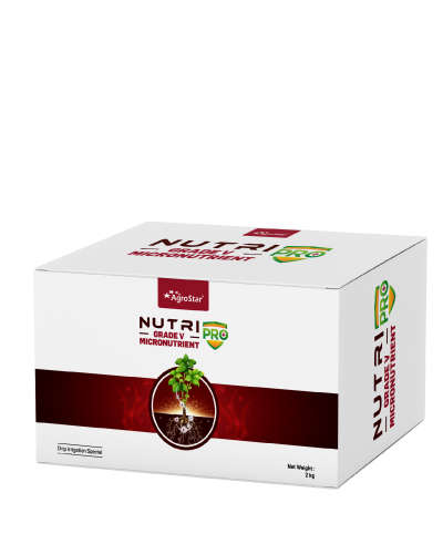 NUTRIPRO Grade 5 ( Micronutrient Mix-GJ) 2kg