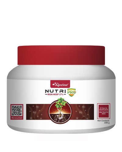 Nutripro Iron ( Fe 17% HEDP ) 100 g