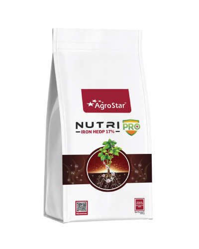 Nutripro Iron ( Fe 17% HEDP ) 250 g