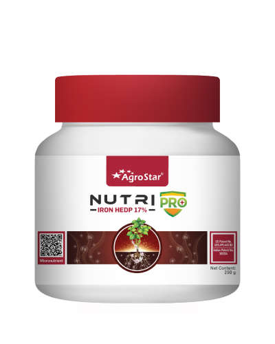 Nutripro Iron ( Fe 17% HEDP ) 250 g