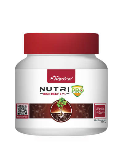 Nutripro Iron ( Fe 17% HEDP ) 500 g