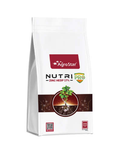 न्यूट्रिप्रो झिंक (Zn 17% HEDP) 250 ग्रॅम