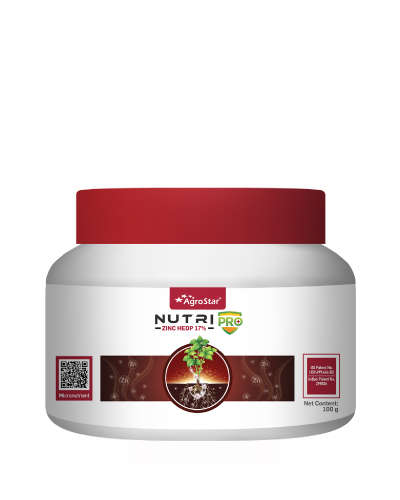 Nutripro Zinc ( Zn 17% HEDP ) 100 g