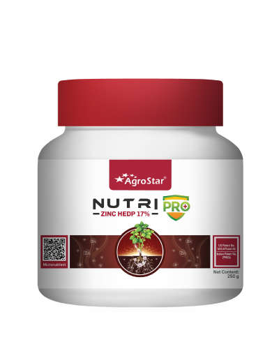 Nutripro Zinc ( Zn 17% HEDP ) 250 g