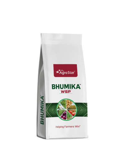 Bhumika WSP 400gm