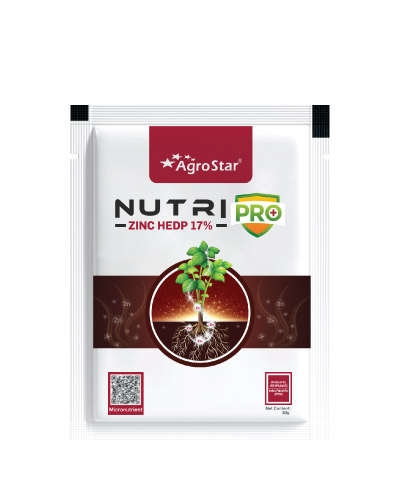 न्यूट्रिप्रो झिंक (Zn 17% HEDP) 30 ग्रॅम