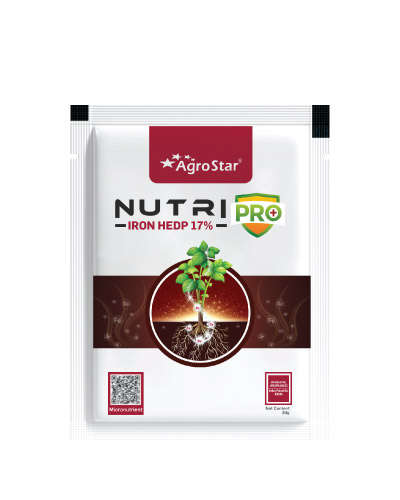 न्यूट्रिप्रो लोह (Fe 17% HEDP) 30 ग्रॅम