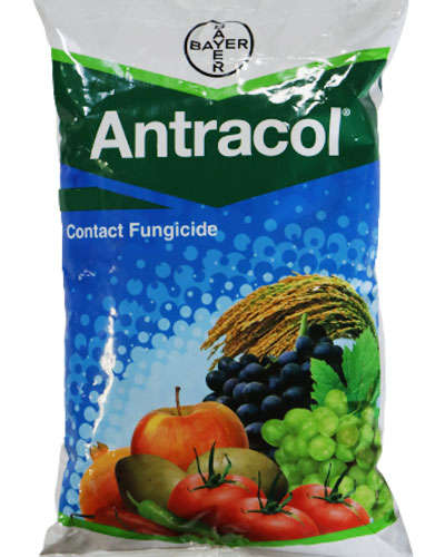 एंट्राकोल (प्रापिनेब 70% ड्ब्ल्यु बी) 250 ग्राम