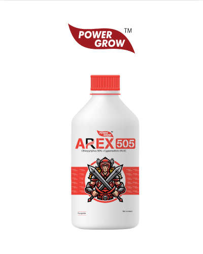एरेक्स -505 (क्लोरपायरीफॉस 50% + साइपरमेथ्रिन 5% ईसी) 100 मिली