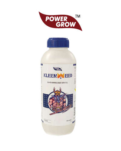 Kleenweed (2,4-D Amine Salt 58% SL) 1 litre