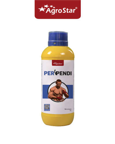 परपेन्डी - पेंडीमेथालिन 30% ईसी (1 लीटर)