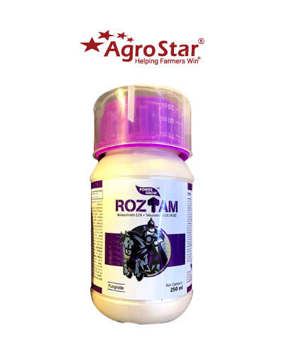 રોઝતામ (એઝોક્ષીસ્ટ્રોબીન 11% + ટેબ્યુકોનાઝોલ 18.3 % એસસી) 100 મિલી