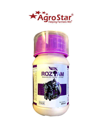 રોઝતામ (એઝોક્ષીસ્ટ્રોબીન 11% + ટેબ્યુકોનાઝોલ 18.3 % એસસી) 1 લિટર