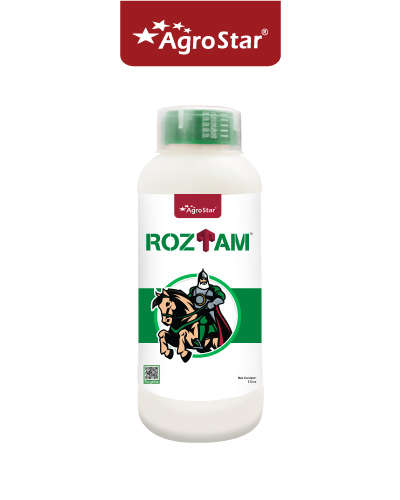 रोझतम (अ‍ॅझोक्सिस्ट्र्रोबिन 11% + टेब्युकॉनेझोल 18.3% एससी) 1 लिटर