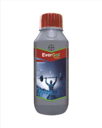 Bayer EverGol Xtend (Penflufen 13.28% w/w + Trifloxystrobin 13.28% w/w FS) 40 ml