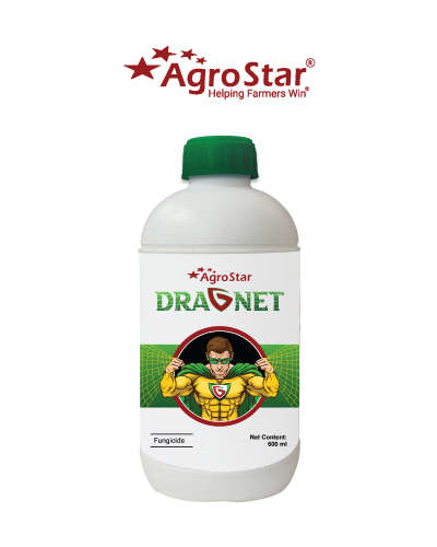 एग्रोस्टार ड्रेगनेट (एज़ोक्सीस्ट्रोबिन 4.8% + क्लोरोथालोनिल 40.0% एससी) 150 मिली