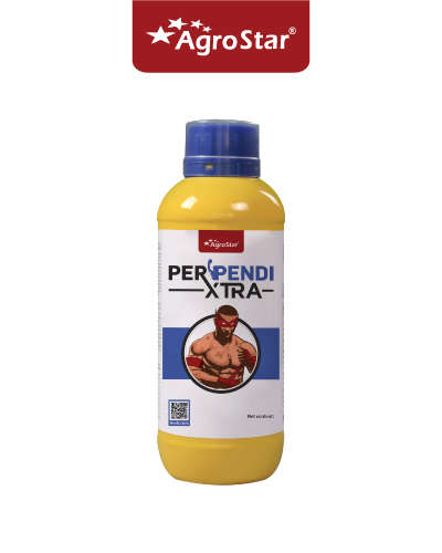 पेरपेन्डी एक्स्ट्रा (पेंडिमेथालिन 38.7 % सी एस) 3.5 लीटर