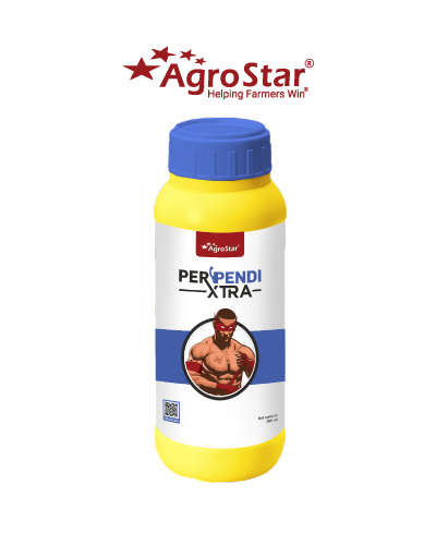 Agrostar Perpendi Xtra (Pendimethalin 38.7 % CS ) 3.5 litre