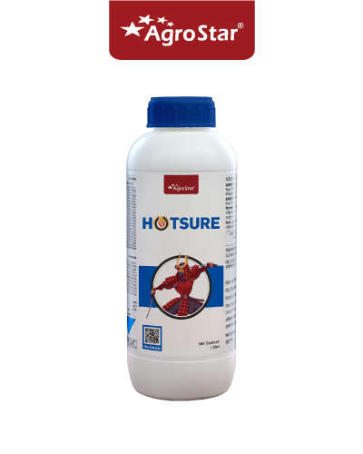 हॉटसुर (सोडियम अॅसिफ्लुओर्फेन 16.5% + क्लोडिनाफॉप प्रोपार्गिल 8% ईसी) 1 लिटर