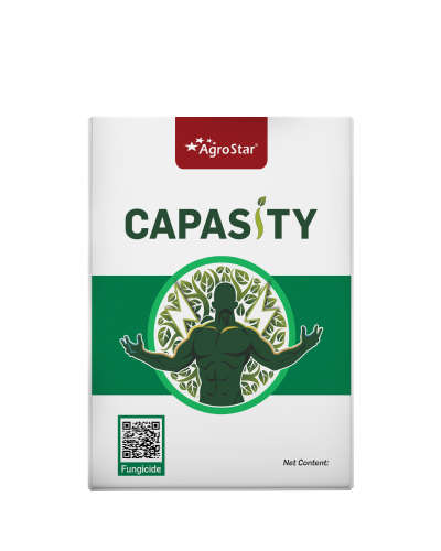 Capasity (Captan 70% + Hexaconazole 5% WP) 500 g