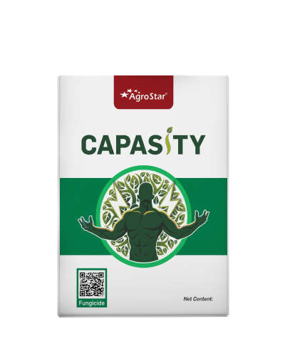 Capasity (Captan 70% + Hexaconazole 5% WP) 250 g