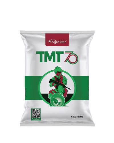 TMT 70 (Thiophanate Methyl 70% WP) 1 kg