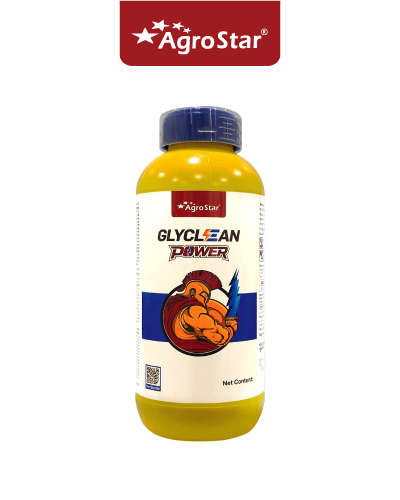 एग्रोस्टार ग्लाइक्लीन पॉवर (ग्लूफ़ोसिनेट अमोनियम 13.5% SL) 500 मिली