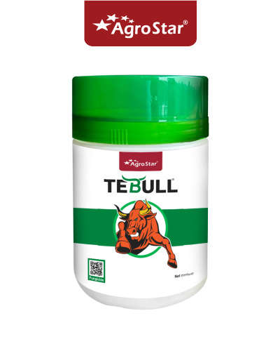 ટેબુલ - (ટેબુકોનાઝોલ 10% + સલ્ફર 65% ડબલ્યુજી) 250 જી