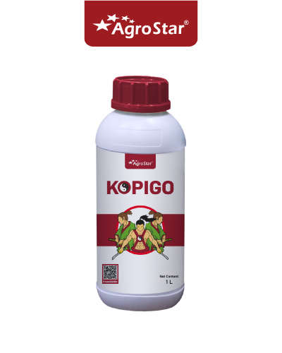अॅग्रोस्टार कोपिगो (क्लोरॅन्ट्रानिलिप्रोल 9.3% + लॅम्बडा 4.6% झेडसी) 1 लिटर