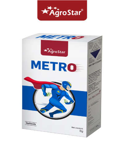 ॲग्रोस्टार मेट्रो (मेट्सल्फुरॉन मिथाइल 20% डब्ल्यूपी) 8 ग्रॅम