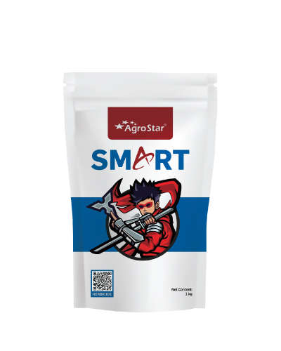 Smart (Ametryne 80 % WG) 1 Kg