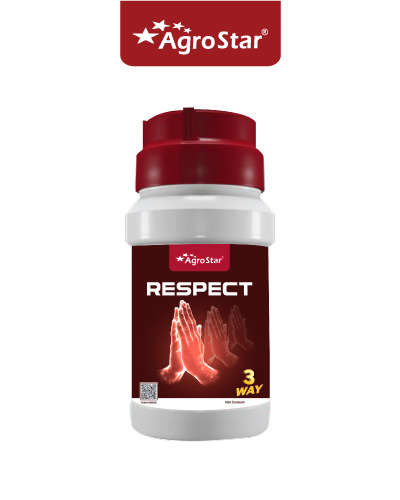 Agrostar Respect 3 Way (Pymetrozine 25 % + Thiamethoxam 17.5 % + Hexaconazole 12.5 % WG) 1kg