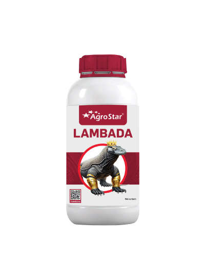 Lambada (Lambda Cyhalothrin 4.9 % CS) 1 Liter