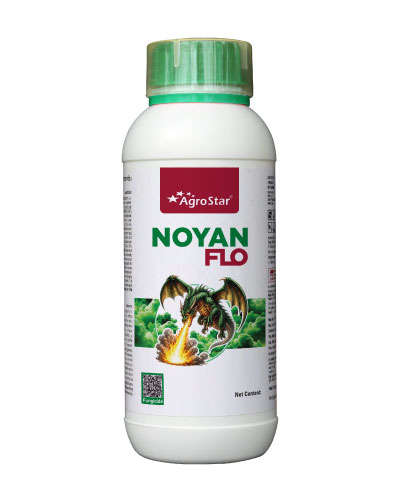 Noyan Flo (Chlorothalonil 40.0% + Difenoconazole 4.0% SC) 1 Litre