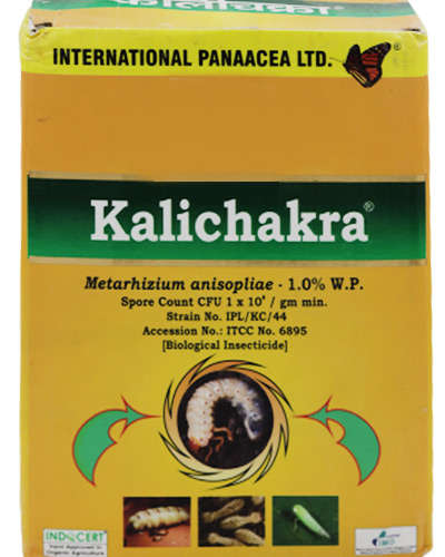 IPL Kalichakra (Metarhizium Anisopliae) 1 kg