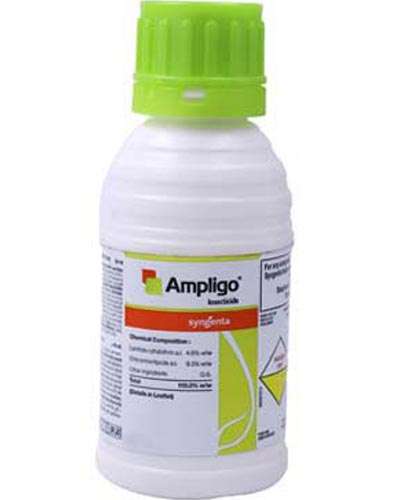 सिंजेंटा एम्प्लिगो (क्लोरेंट्रानिलिप्रोल 9.3% + लैम्ब्डासाहैलोथ्रिन 4.6% जेडसी ) 80 एमएल