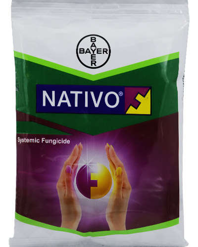 Bayer Nativo(Tebuconazole 50% + Trifloxystrobin 25%WG) 100 gm